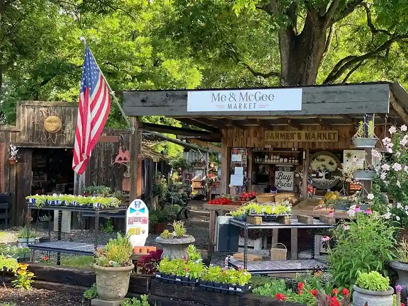 grocery stores in Arkansas, grocery stores in hot springs Arkansas, grocery store in Arkansas,